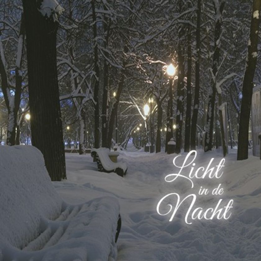 Voordeelpakje kerstkaarten 'Winter' - 6 stuks - MA26058 -  Voordeelpakjes kerst bij MajesticAlly