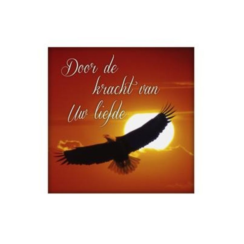 Voordeelpakket 25 x wenskaart Living Melodies - MA14100 -  Living Melodies bij MajesticAlly