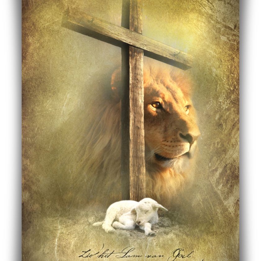 Poster 50x70 Lam van God - MA11316 -  Posters XL  bij MajesticAlly