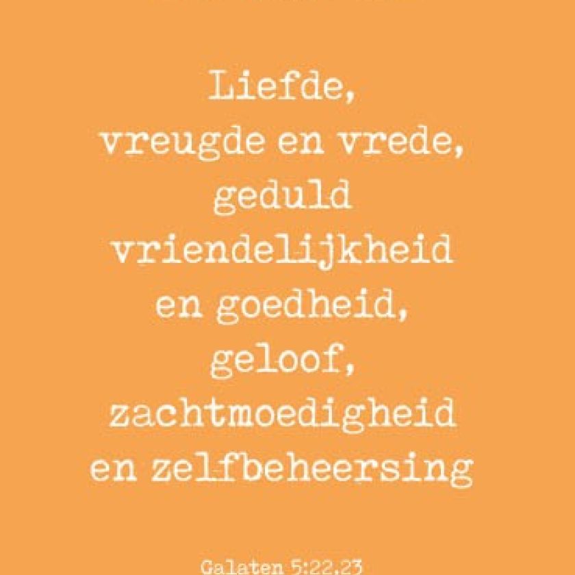 Complete serie Interieurkaarten - MA35000 -  Voordeelpakjes bij MajesticAlly