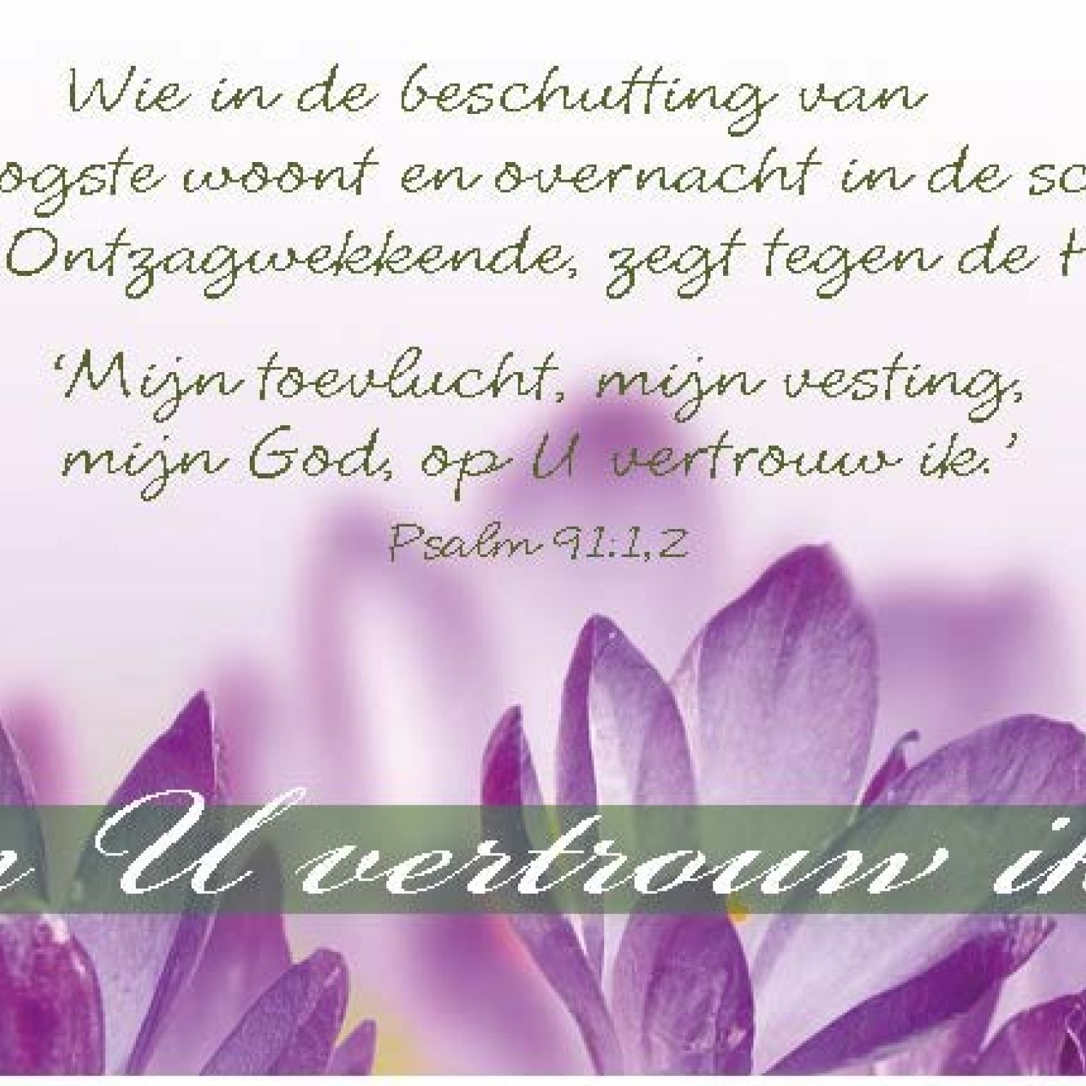 Minikaart op U vertrouw ik - 46213 -  Minikaartjes bij MajesticAlly