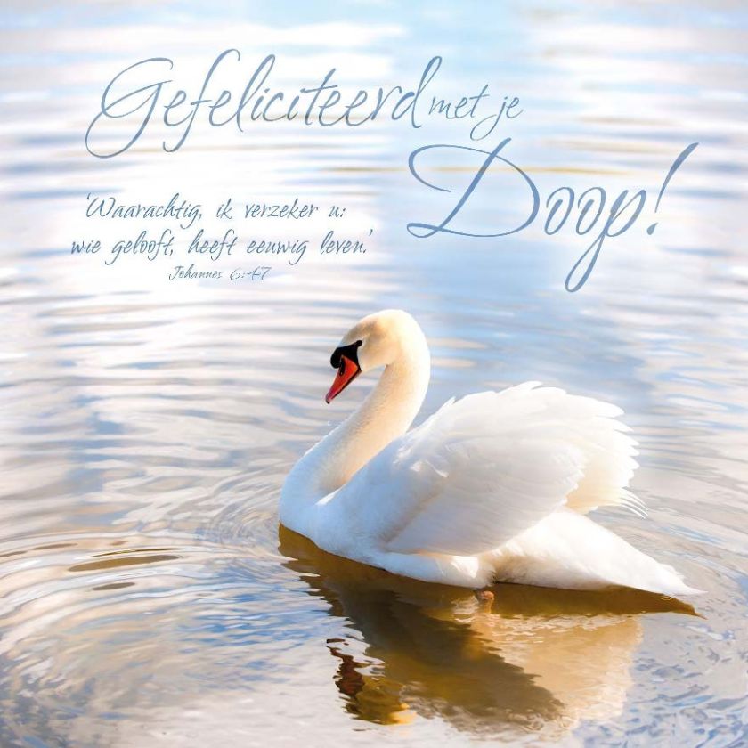 * Voordeelpakket 36 kaarten David Sörensen - MA11100 -  David Sörensen bij MajesticAlly