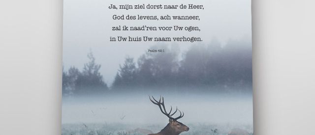 11932 bbea3e5c