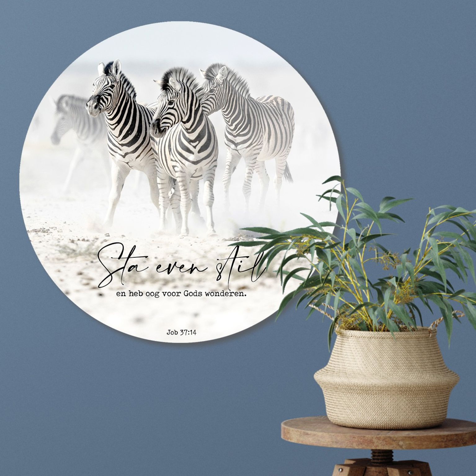 Muurcirkel 'Zebra's - Sta even stil' - 60 cm  - MA39315 -  Wanddeco bij MajesticAlly