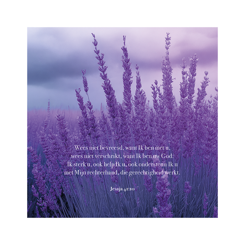 MA59025 4 Seasons Lavendel jesaja 41 vers 10.pdf c6017bca