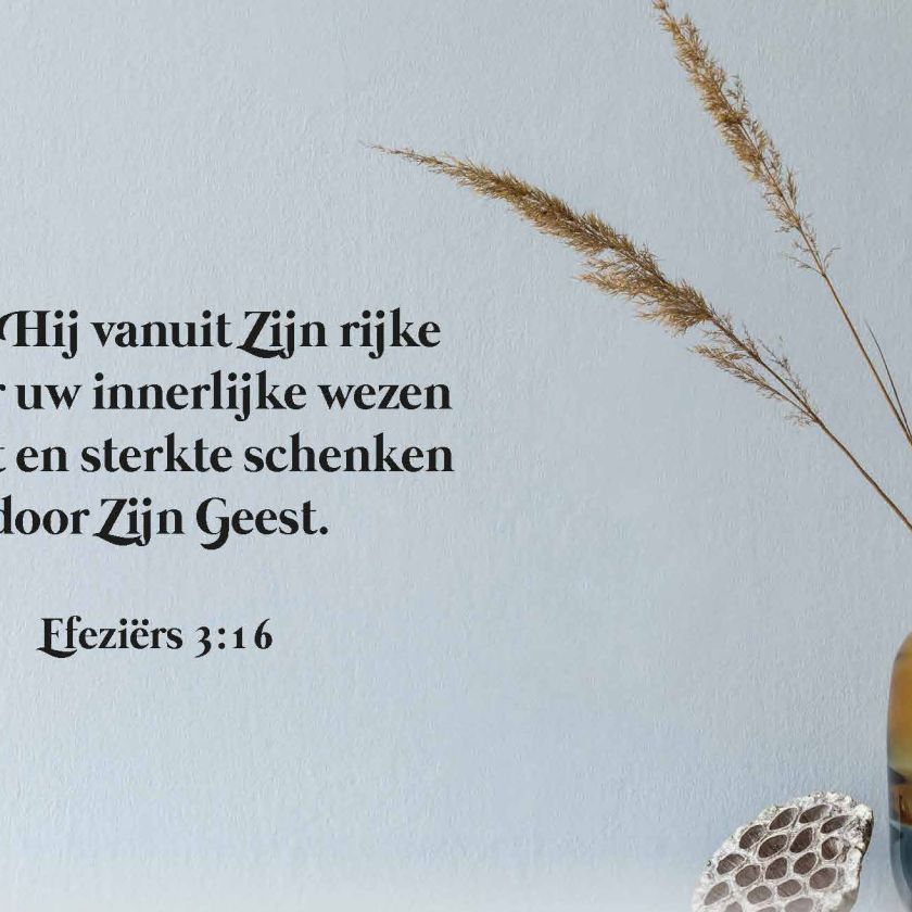 Budgetboekje Puur 2022 Pagina 05 c8c55187