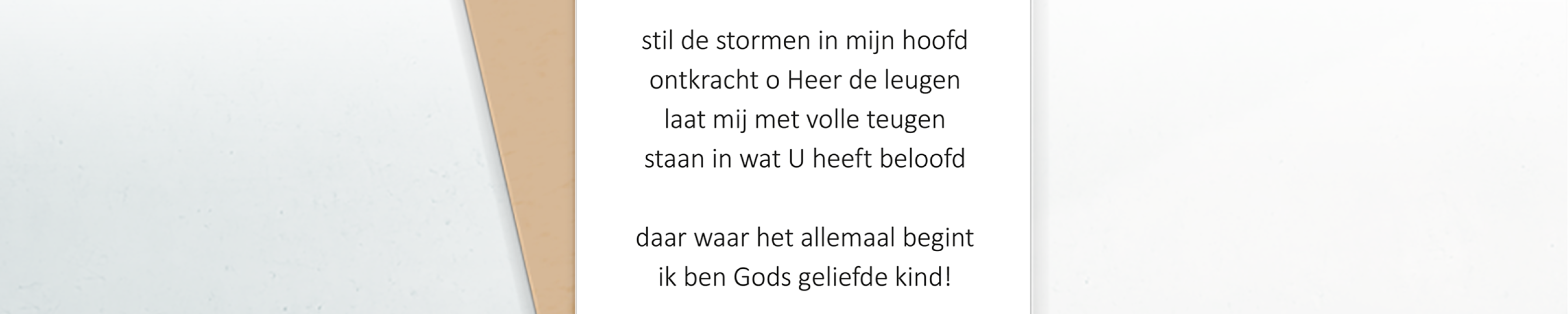 banner divers c9220635