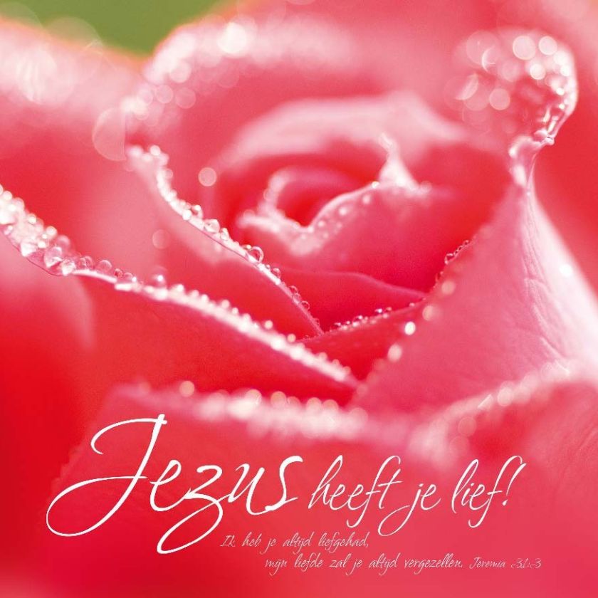 * Voordeelpakket 36 kaarten David Sörensen - MA11100 -  David Sörensen bij MajesticAlly