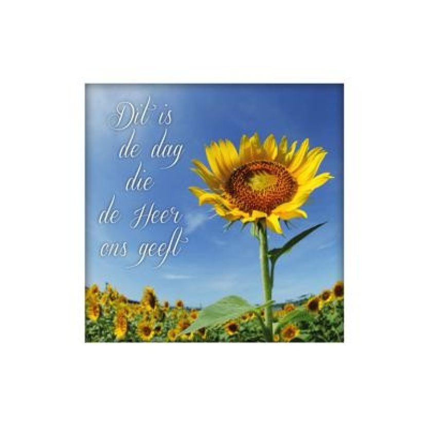 Voordeelpakket 25 x wenskaart Living Melodies - MA14100 -  Living Melodies bij MajesticAlly