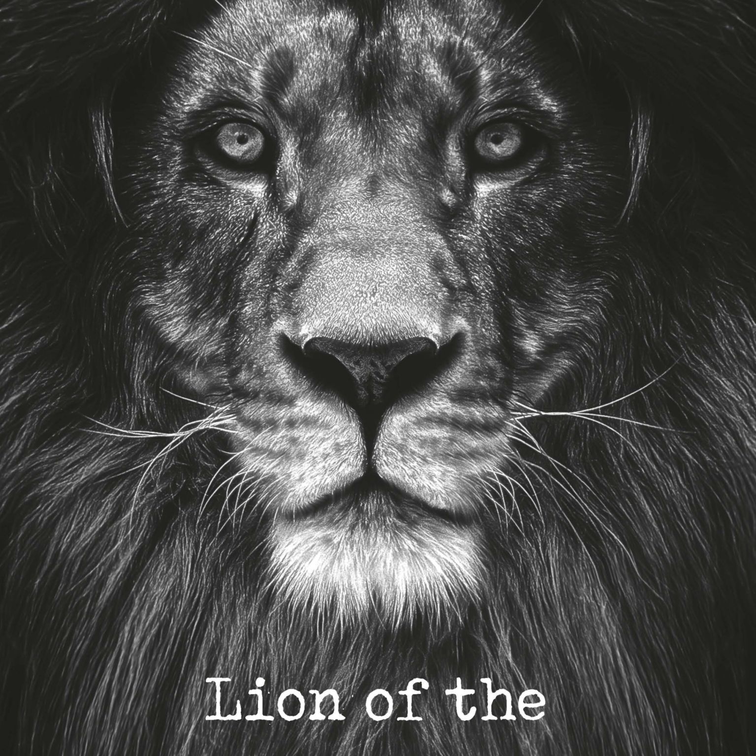 Tweede kans: Metal Deco A3 'Lion of the tribe of Judah' - MA11623-S -  Sale bij MajesticAlly
