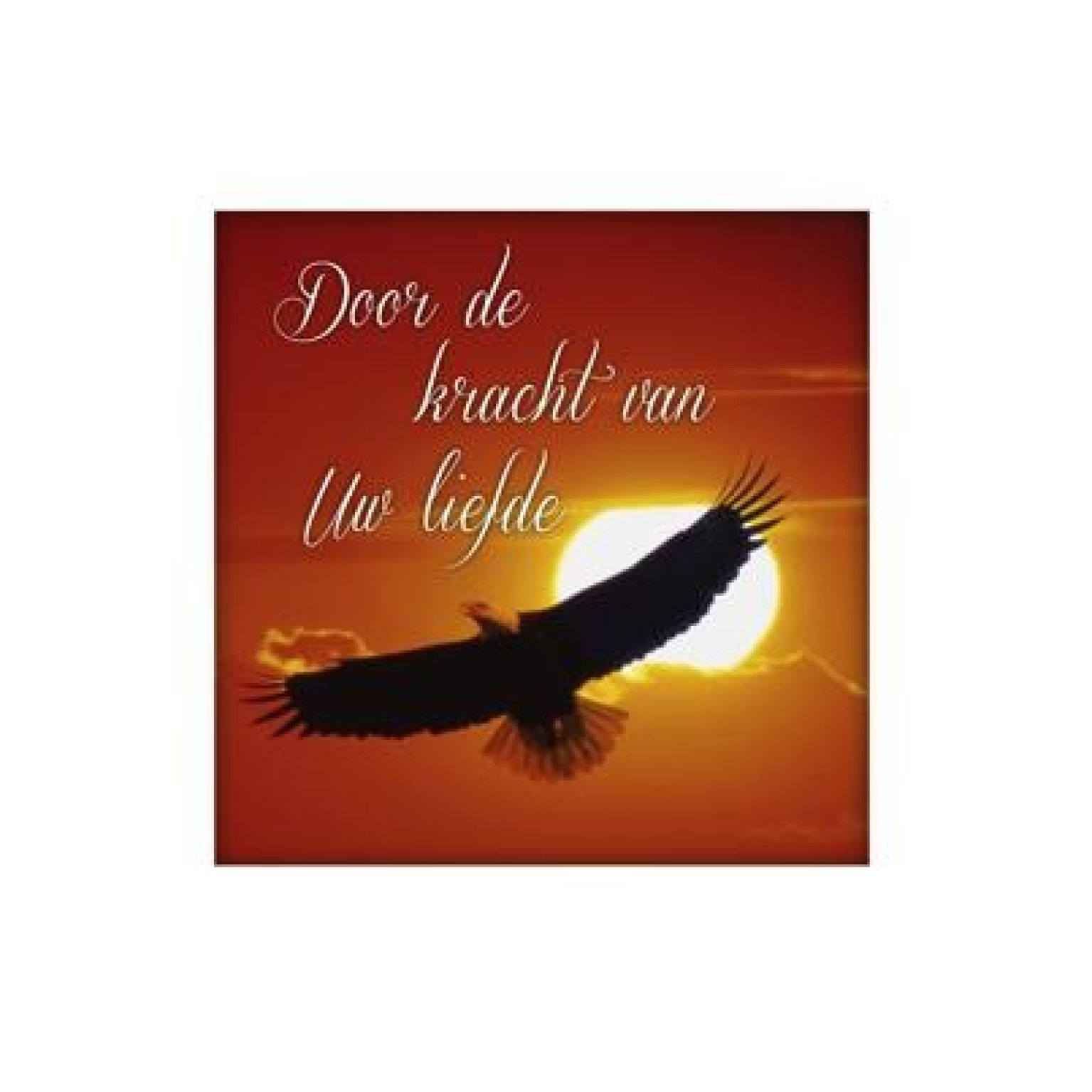 Voordeelpakket 25 x wenskaart Living Melodies - MA14100 -  Living Melodies bij MajesticAlly