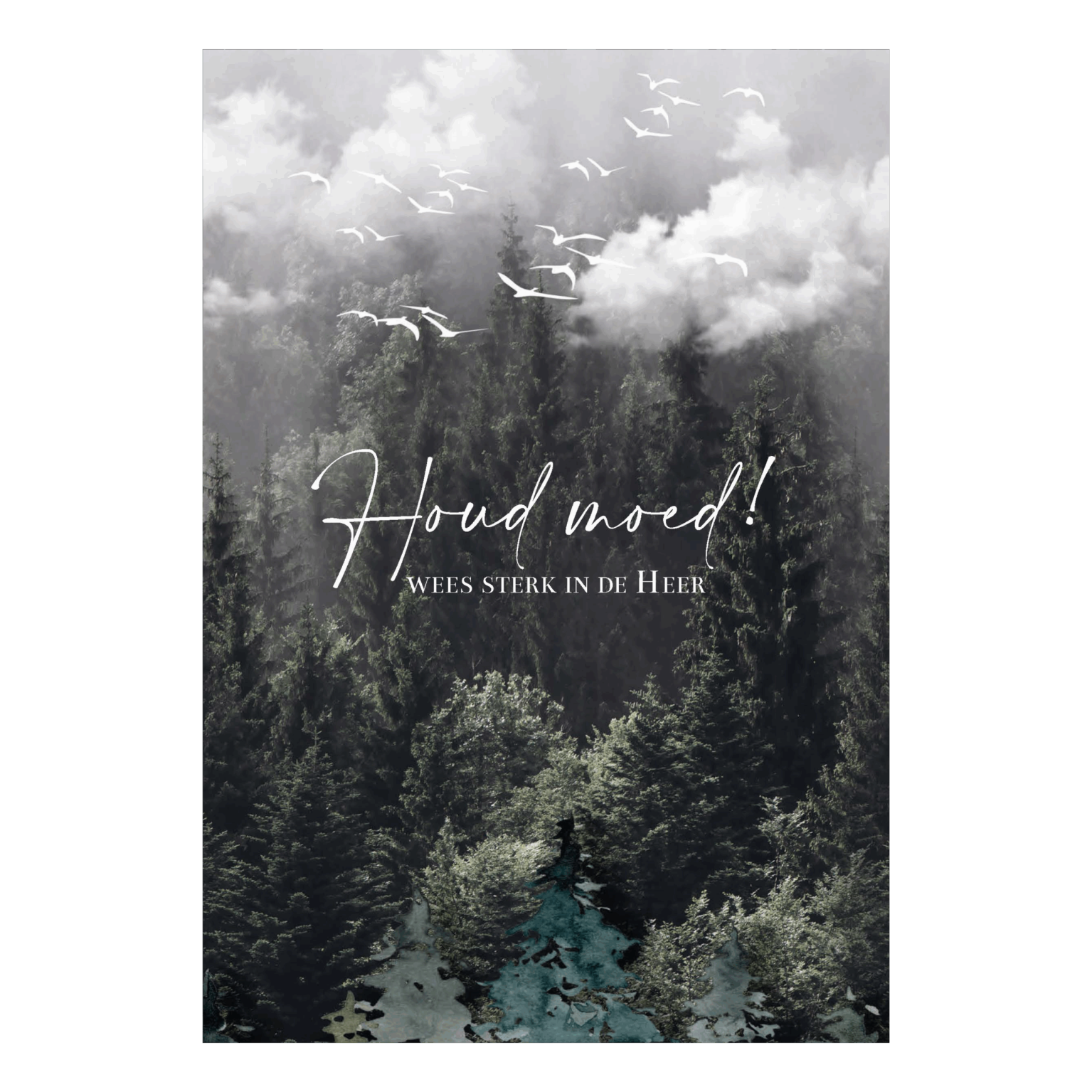 MA55047 NA scaled ef242680