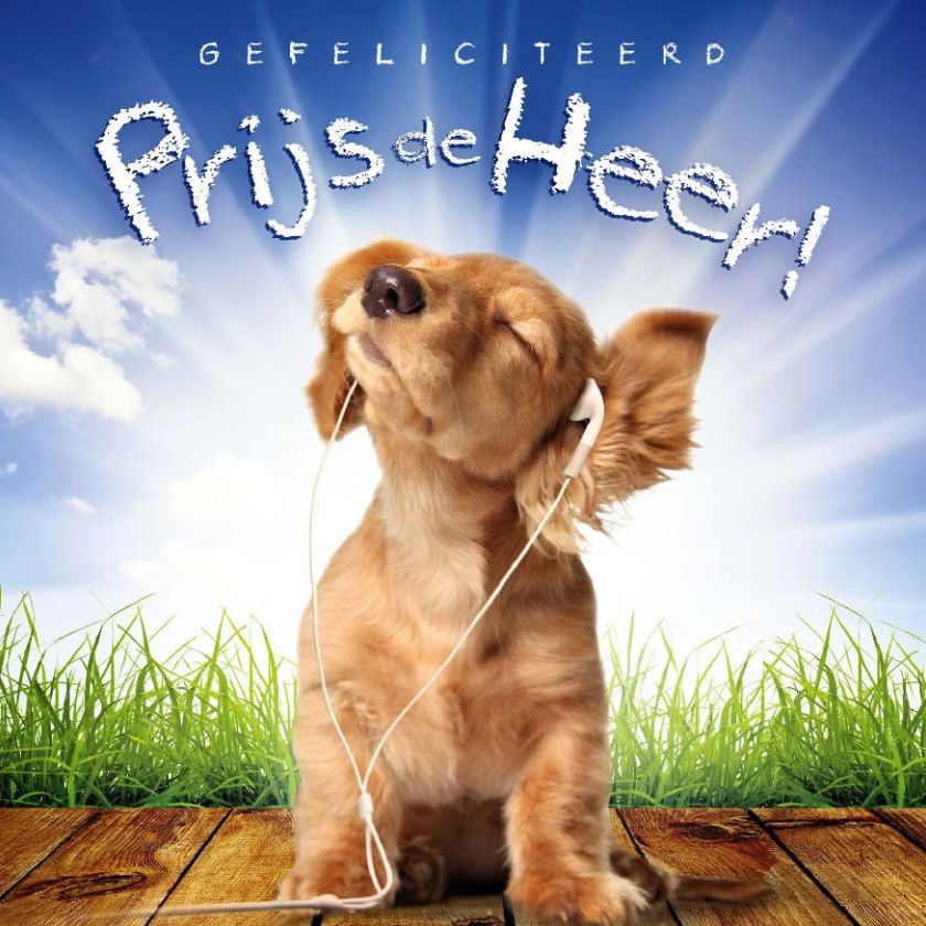 * Voordeelpakket 36 kaarten David Sörensen - MA11100 -  David Sörensen bij MajesticAlly