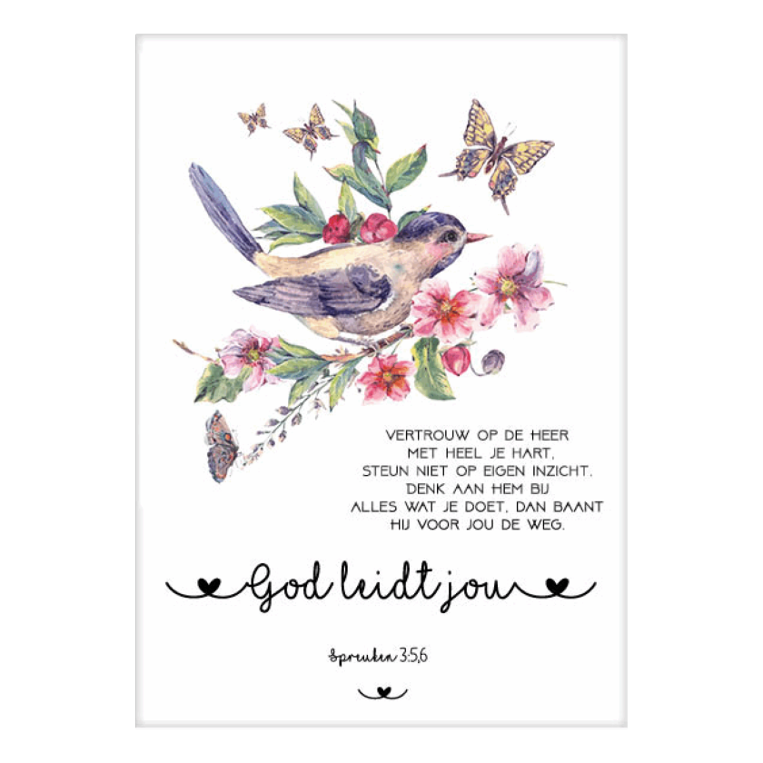 MA31021 NA scaled f800f341