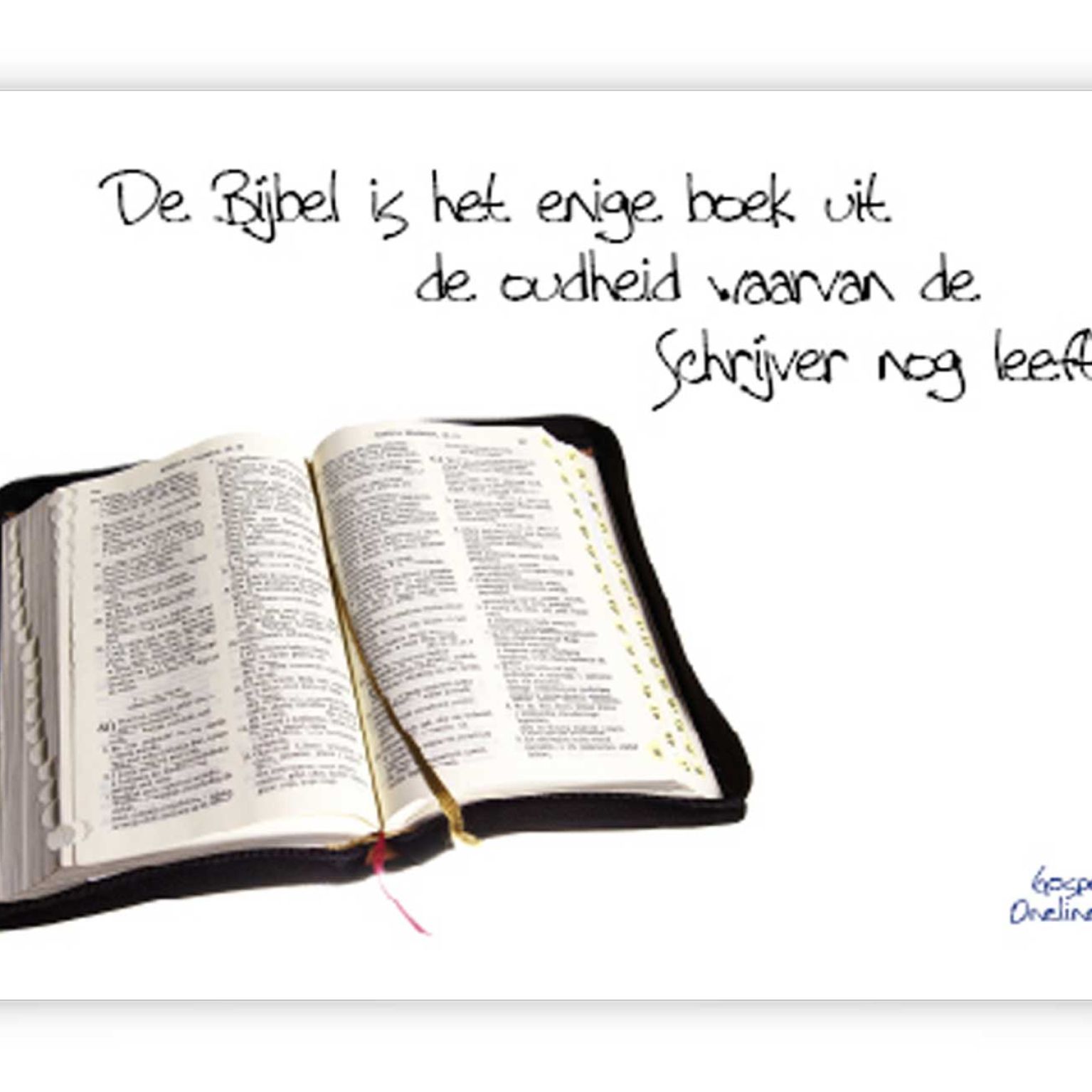 Minikaart de bijbel is het enige boek - 46404 -  Minikaartjes bij MajesticAlly