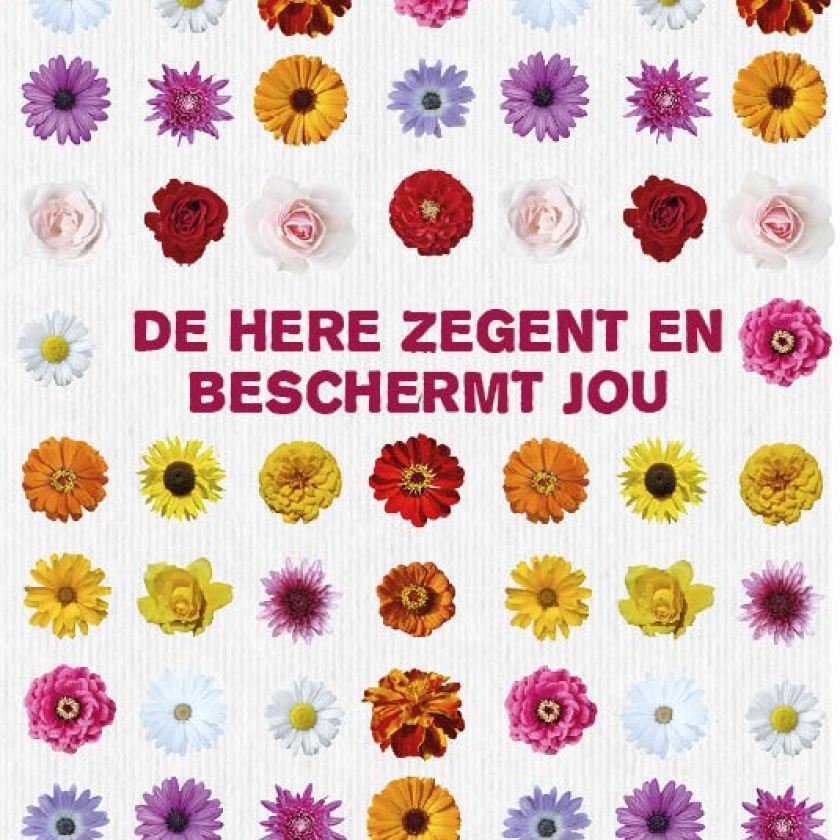Sponsorpakket 40 kaarten met envelop - MA17000S -  Leef!  bij MajesticAlly
