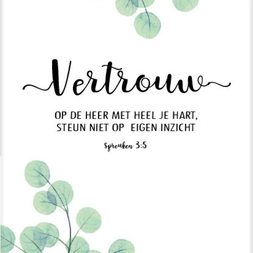 * Sponsorpakket  'Beautiful day' voor een Bijbel - MA25000S2 -  Voordeelpakjes bij MajesticAlly