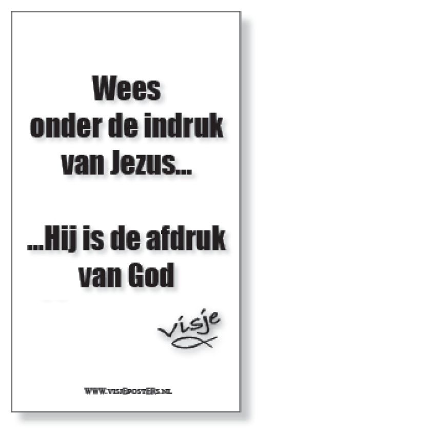 Megapack visje 30 ansichtkaarten - 40163 -  Voordeelpakjes bij MajesticAlly