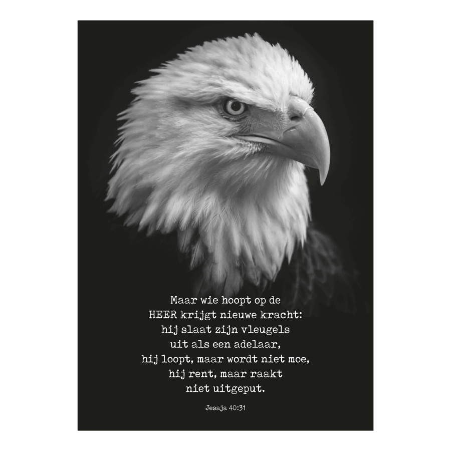 Metal Deco A3 'Wie hoopt op de Heer'