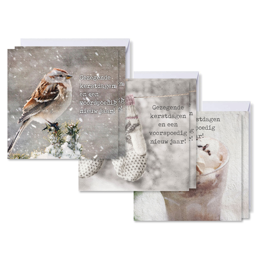 Voordeelpakje vierkante kerstkaarten kou - gezegend