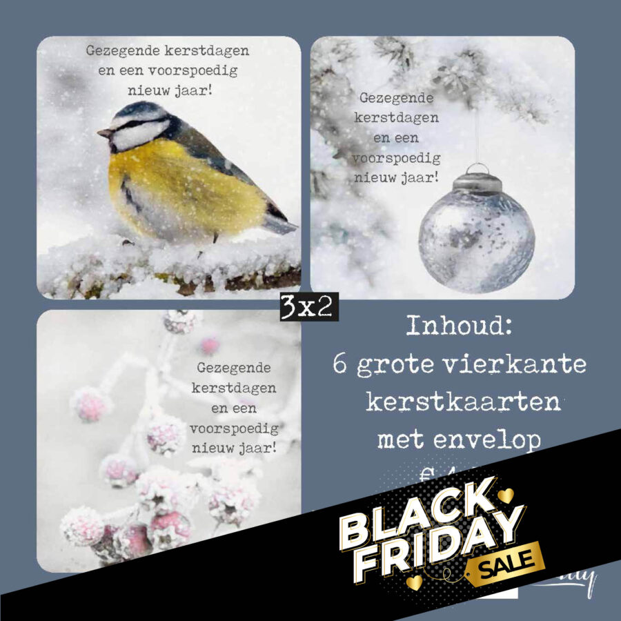 Voordeelpakje vierkante kerstkaarten sneeuw - gezegend