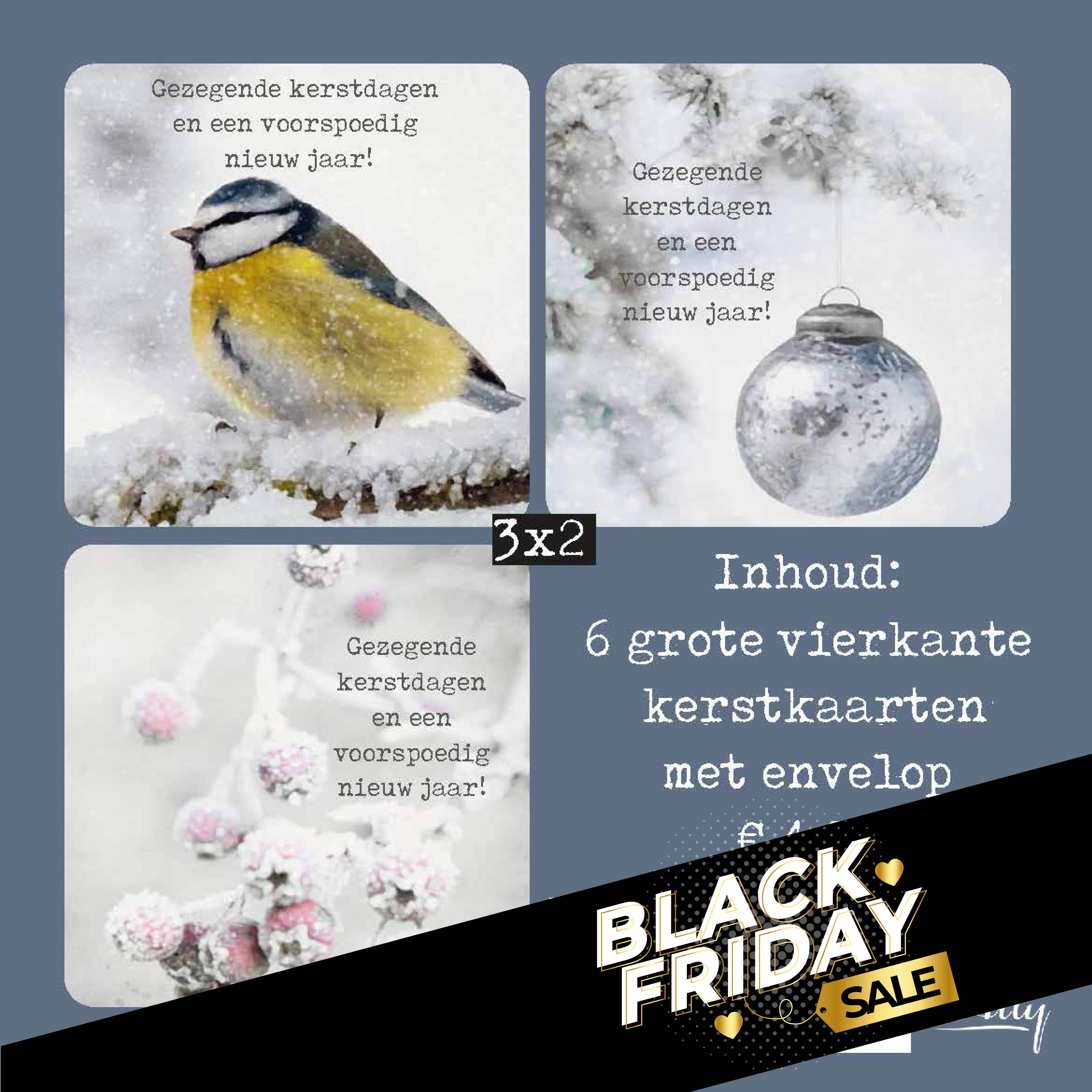 Voordeelpakje vierkante kerstkaarten sneeuw - gezegend