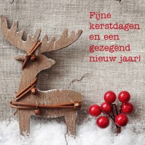 Voordeelpakje kerstkaarten 'Lifestyle 2' - 6 stuks - MA26054 -  Voordeelpakjes kerst bij MajesticAlly