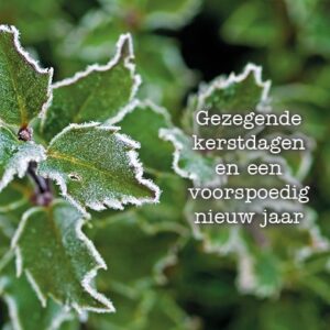 Voordeelpakje kerstkaarten 'Frozen 3' - 6 stuks - MA26060 -  Voordeelpakjes kerst bij MajesticAlly