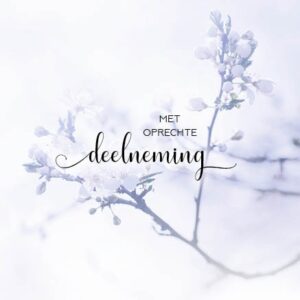 Kaart 'Deelneming - tak' - MA34013 -  Stille momenten bij MajesticAlly