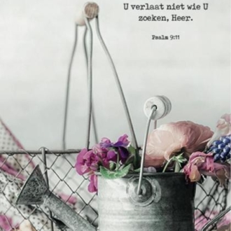 Kaartcadeau 'Wie Uw naam kent' - MA37002 -  Kaarten bij MajesticAlly