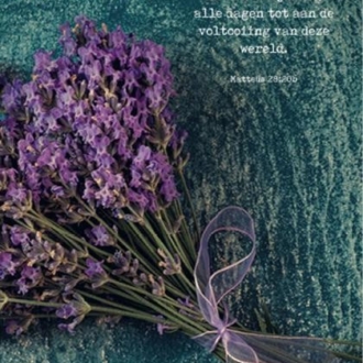 Kaartcadeau En houd dit voor ogen - MA37030 -  Kaarten bij MajesticAlly