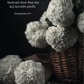 Kaartcadeau Ik ben tegen alles bestand - MA37040 -  Kaarten bij MajesticAlly