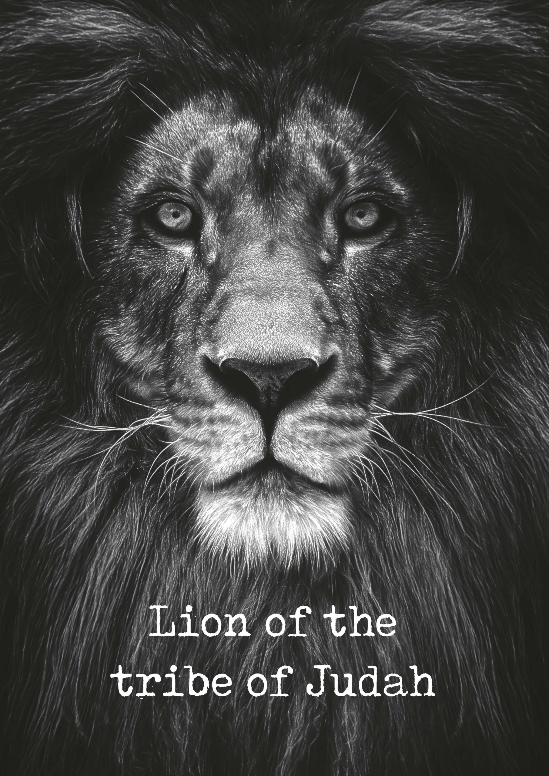 Metal Deco A3 'Lion of the tribe of Judah' - MA11623 -  Metal Deco bij MajesticAlly