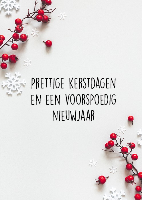 100x kerstkaart 'Besjes' - MA26241-100x -  Grote pakketten  bij MajesticAlly