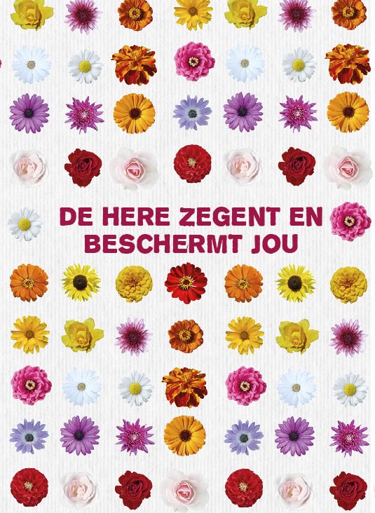 * Sponsorpakket 'Leef' voor een Bijbel - 7445905163109S -  Leef!  bij MajesticAlly