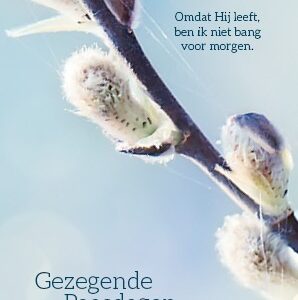 Voordeelkaart 'Gezegende paasdagen - Wilgenkatjes' - MA38086 -  Pasen bij MajesticAlly
