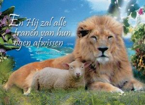 10x Kaart 'Hij zal alle tranen' - 44605 -  Sale bij MajesticAlly