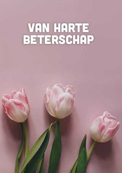 Voordeelkaart 'Van harte beterschap - roze tulpen' - MA38093 -  Voordeelkaarten christelijk bij MajesticAlly