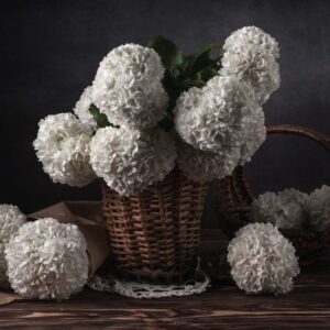 Kaart 'Mand hortensia's' - MA40021 -  Landelijk bij MajesticAlly