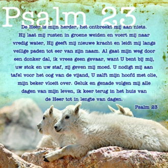 Kaart 'Psalm 23' - MA12013 -  Lifestyle bij MajesticAlly