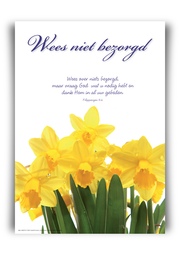 Poster A4 'Wees niet bezorgd' - 46815 -  Wanddeco/posters bij MajesticAlly