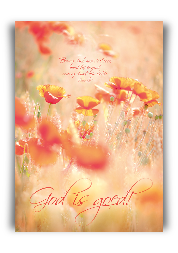 Poster A3 'God is goed' - MA11363 -  Posters A3 bij MajesticAlly