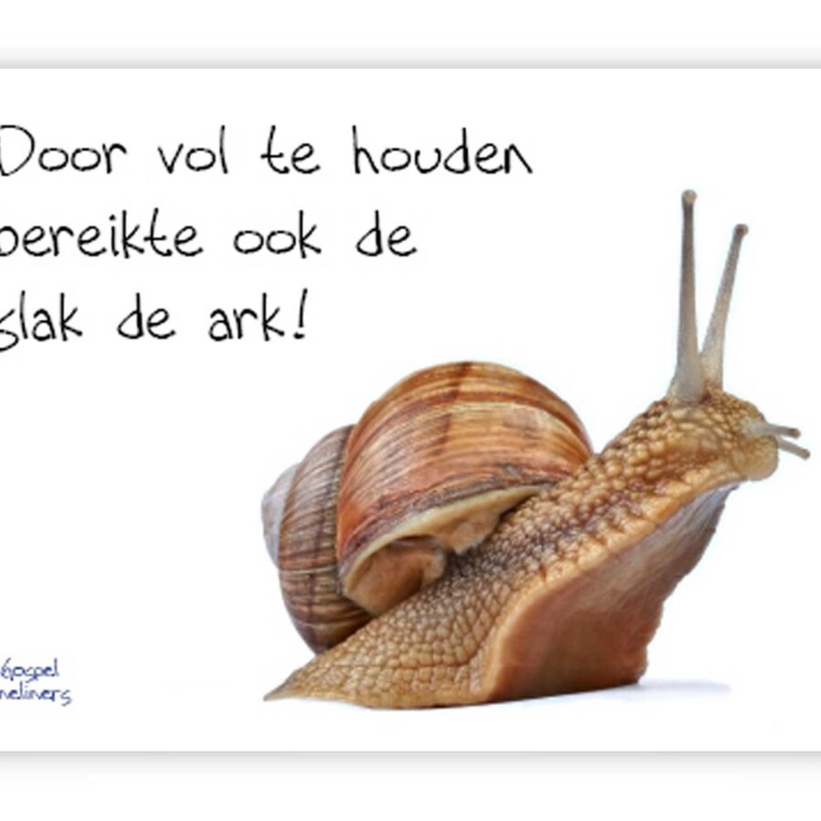 Poster A4 door vol te houden - 46711 - Wanddeco/posters bij MajesticAlly