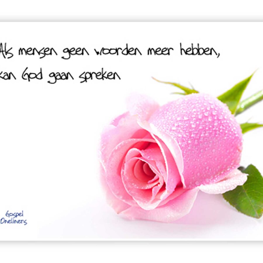 'Als mensen geen woorden meer hebben' - MA10029 - Quotes