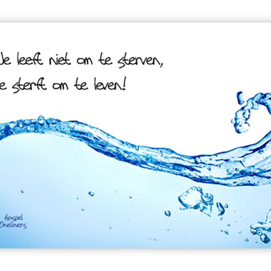 'Je leeft niet om te sterven' - MA10034 - Volwassendoop