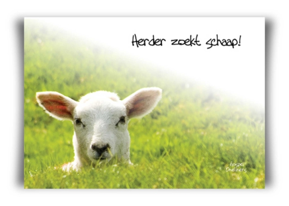 'Herder zoekt schaap! - MA10039 -  Quotes