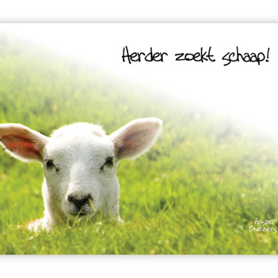 'Herder zoekt schaap! - MA10039 - Quotes