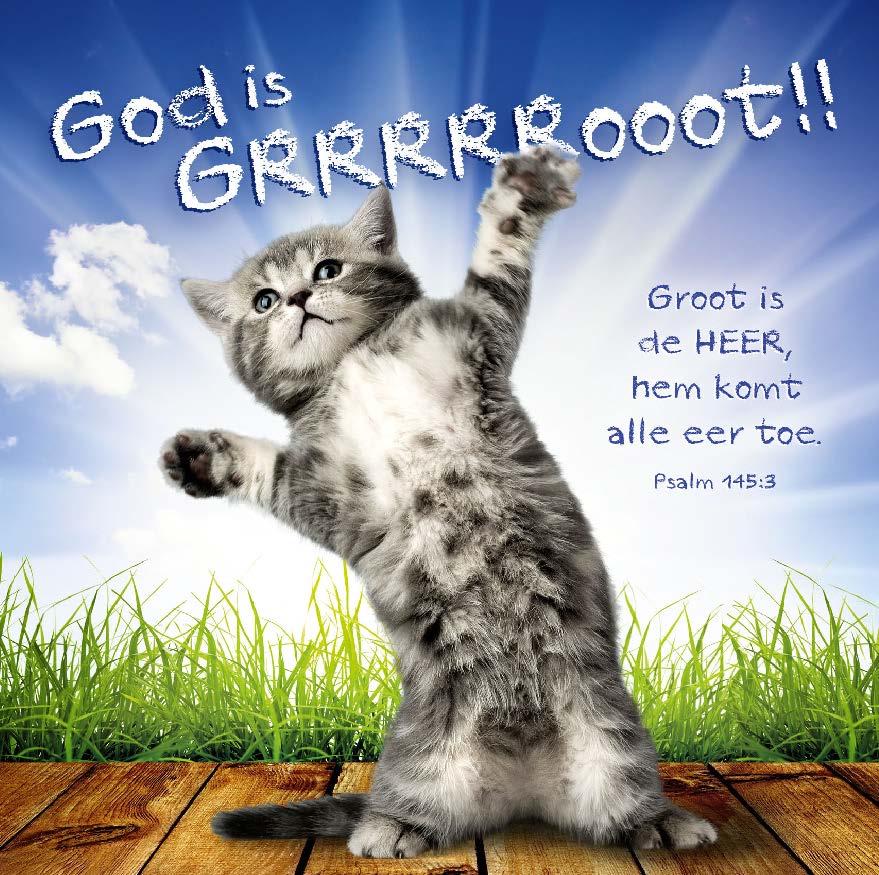 Kaart 'God is grrrrroot!!' - MA11002 -  David Sörensen bij MajesticAlly
