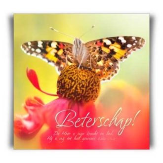 Kaart 'Beterschap - vlinder' - MA11012 -  David Sörensen bij MajesticAlly