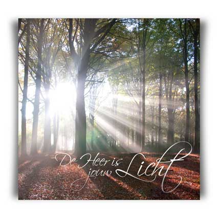 Kaart 'De Heer is jouw licht' - MA11038 -  David Sörensen bij MajesticAlly